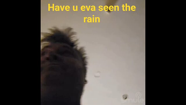 have u Eva seen the wayne