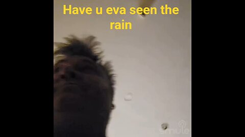 have u Eva seen the wayne