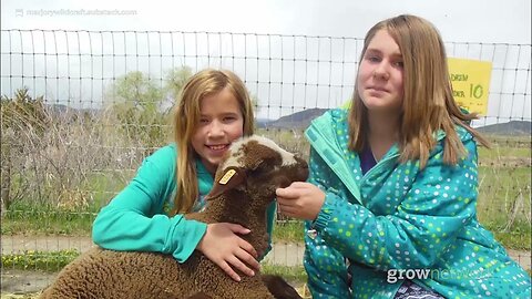 Wrap your kidneys! If you have burnt out your adrenals, this is for you