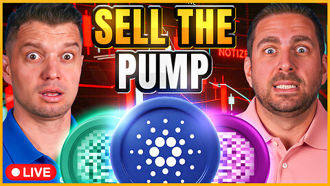Crypto Selloff: Sell the Pumps of These Altcoins
