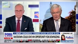 Newt Gingrich & Larry Kudlow say Dems "ARE ENGAGED IN INSURRECTION"