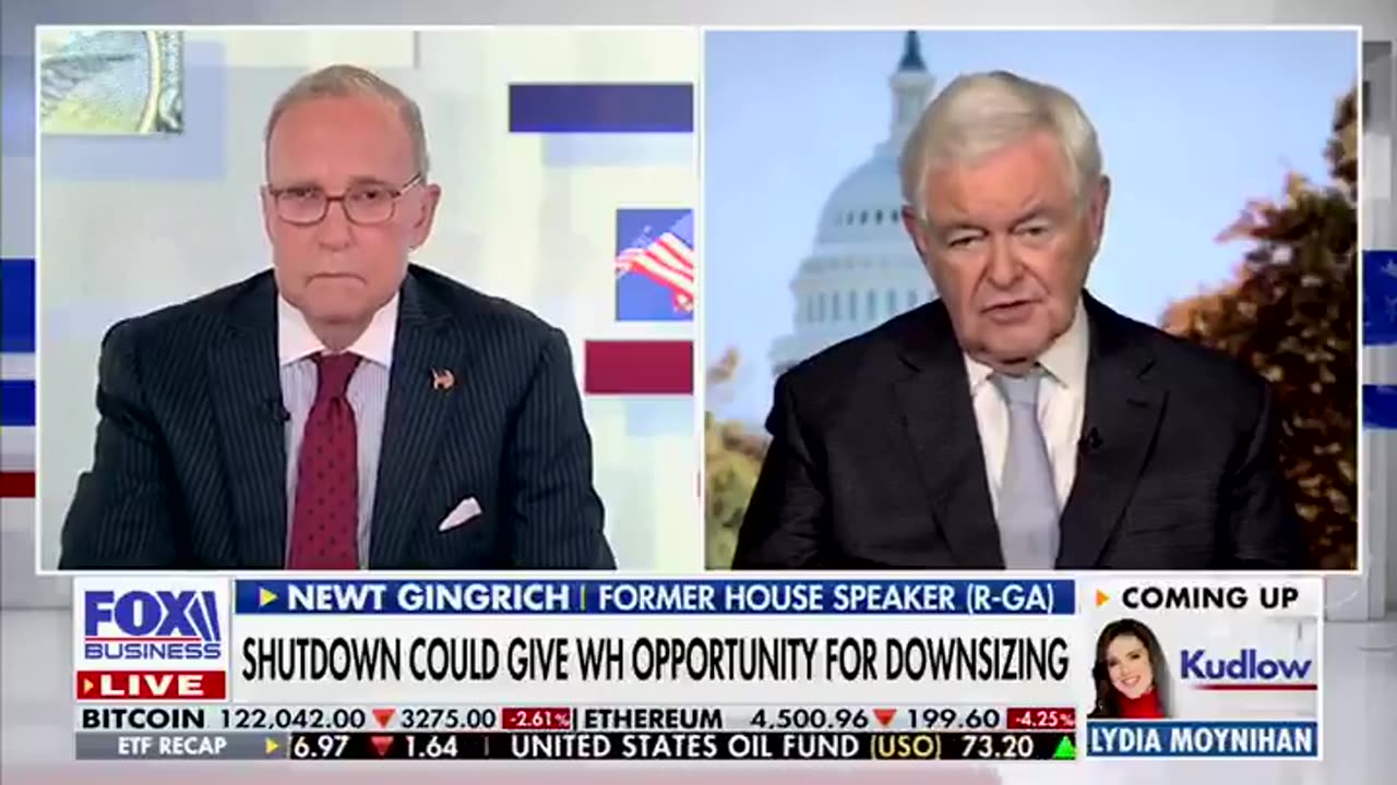 Newt Gingrich & Larry Kudlow say Dems "ARE ENGAGED IN INSURRECTION"