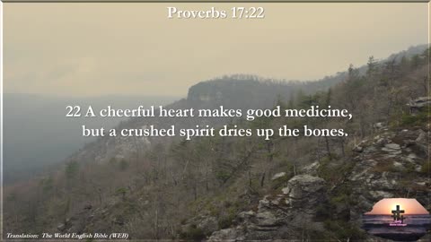 Proverbs 17:22