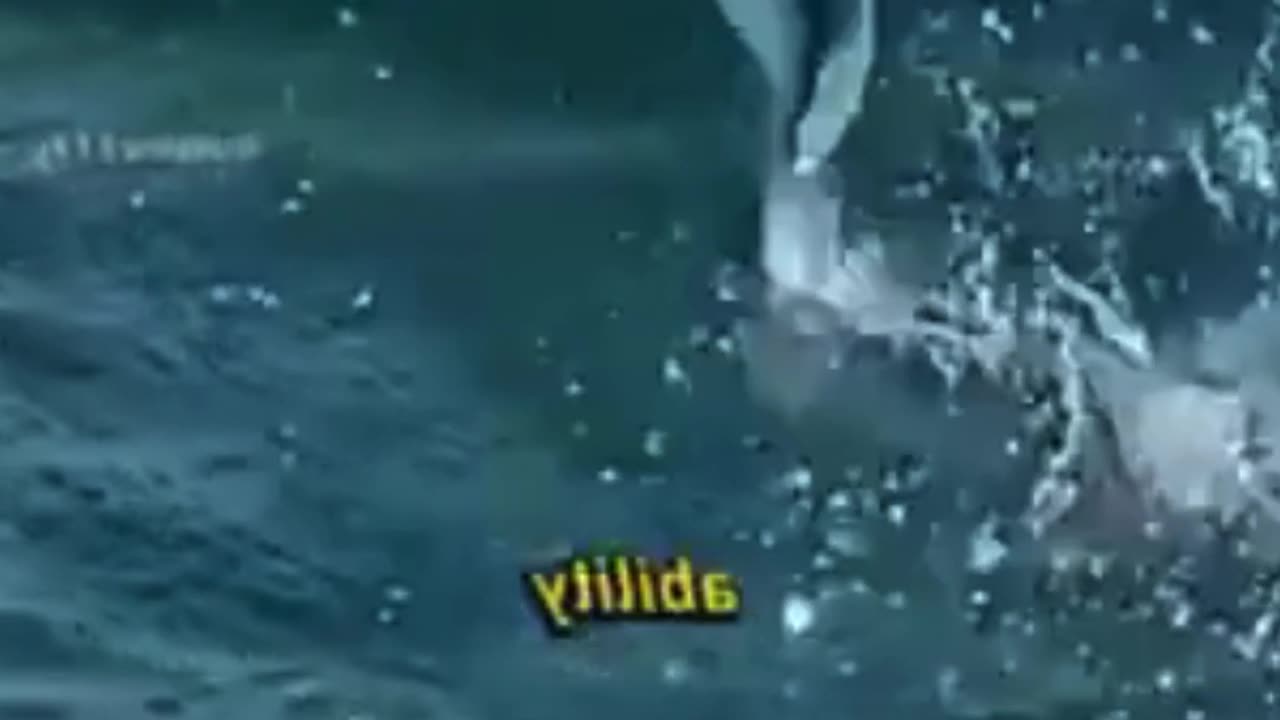 👄How flying Fish escapes from Predators