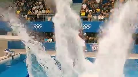 Chubby Cat's Olympic Diving Debut Goes VIRAL! 💦🥇
