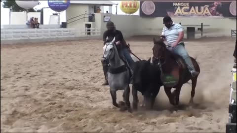 “Tradition, Strength and Passion: the Northeast on the Vaquejada Track”