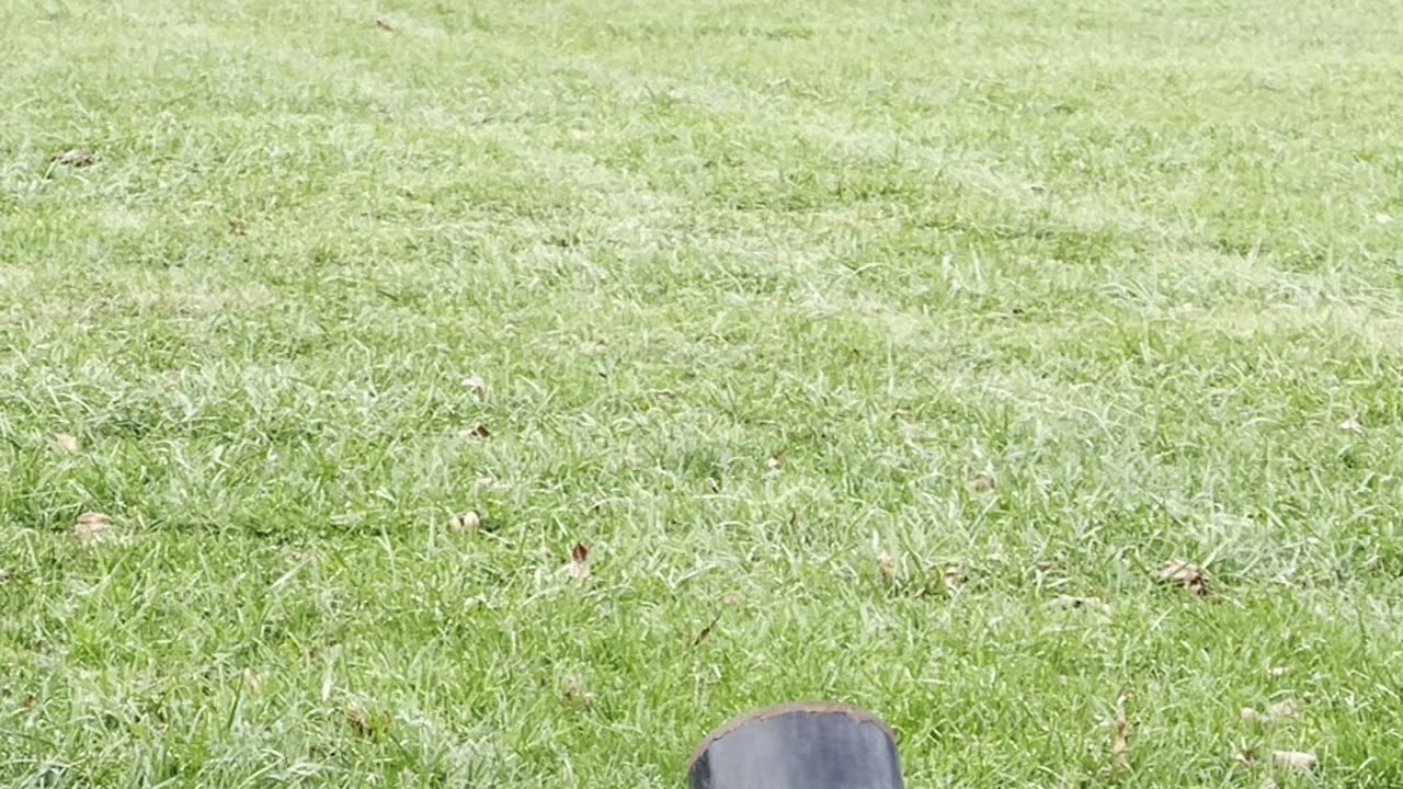 Coehorn Mortar firing in real time