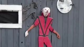 🎃😂 Halloween Horror! | FunFM