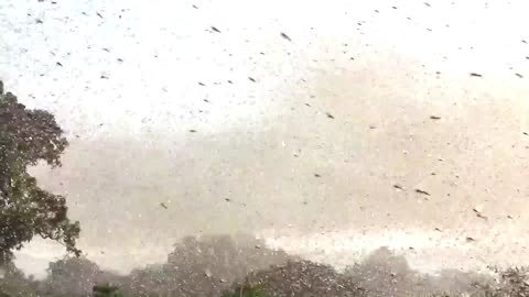 That Was Really Filmed on Camera