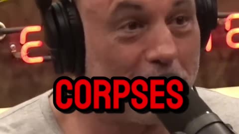 Joe Rogan