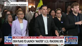 Democrats are planning to launch a "master" ICE-tracker on their website.