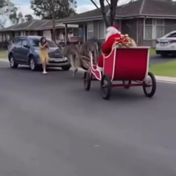 Australian 🙃Christmas