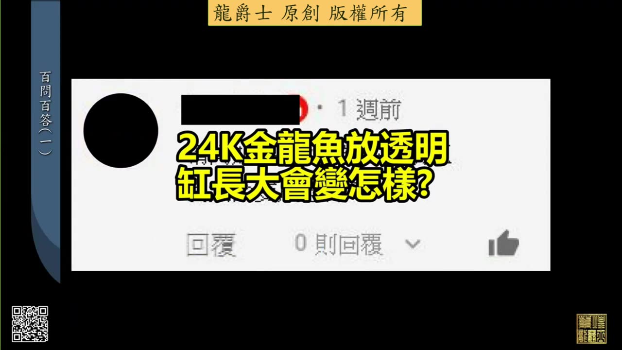 【龍爵士】千問千答 Q1 24K金龍放透明缸會怎樣