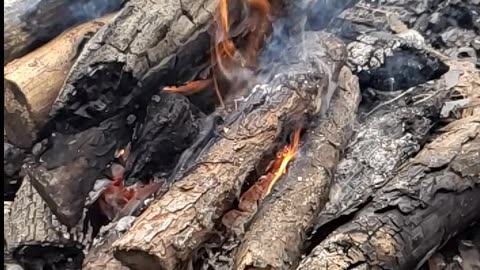 Daily Horoscope | Aries 🌟