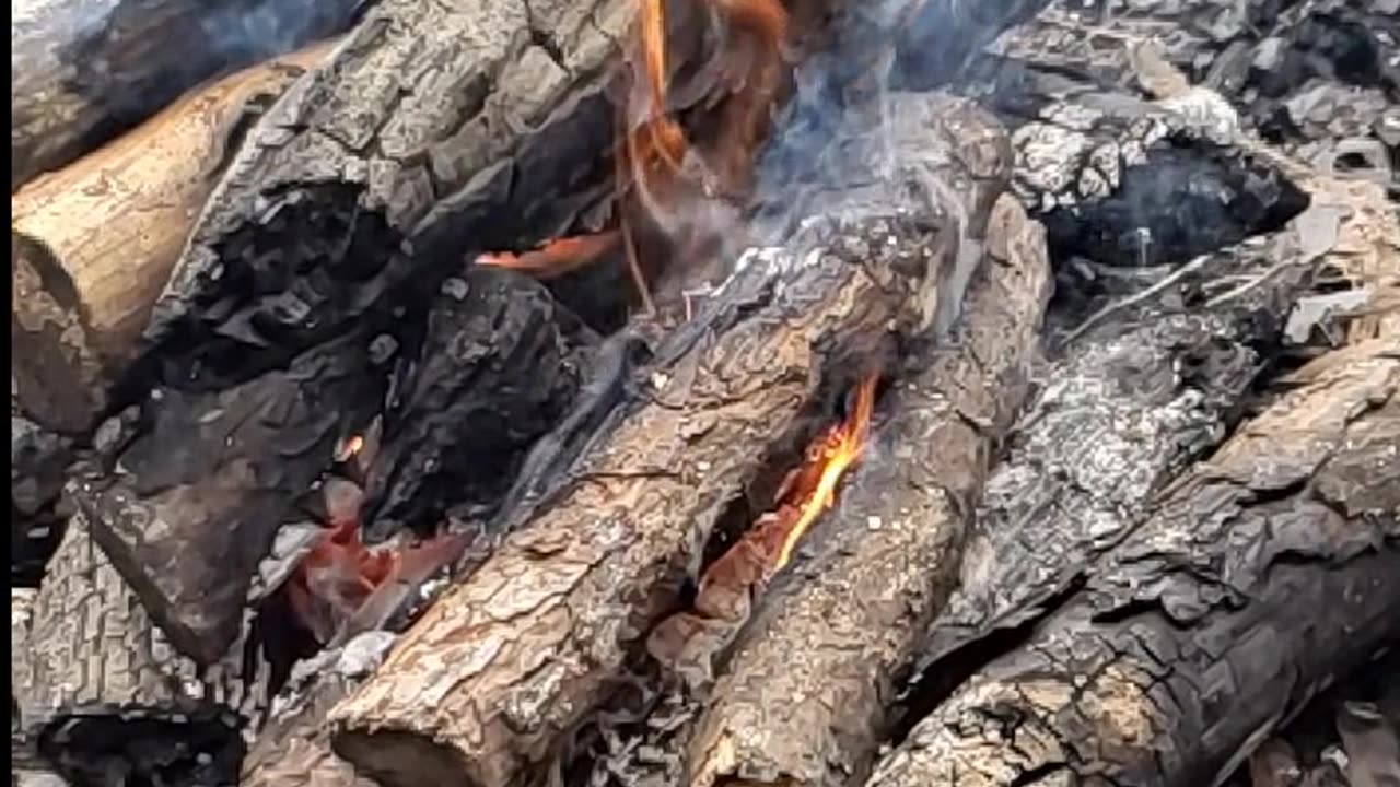 Daily Horoscope | Aries 🌟