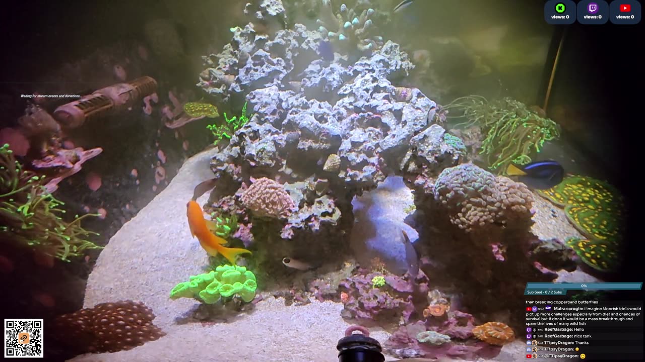 24/7 Real Live Reef Stream