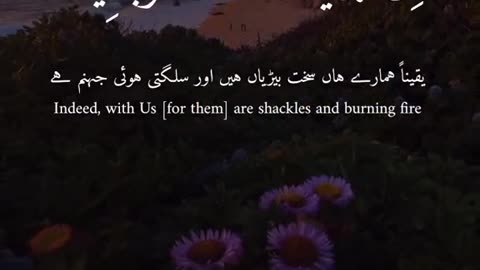 Subahanallah ♥️✨