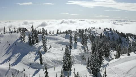 Go and Take Your Property