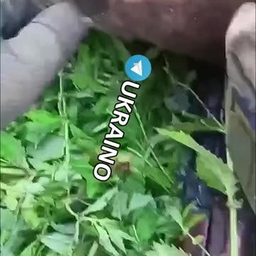 Ukraine war combat footage 11/9/25