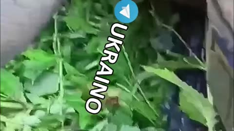 Ukraine war combat footage 11/9/25