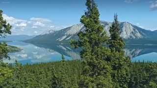 Quiet Trace – echoes of what once was.