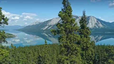 Quiet Trace – echoes of what once was.