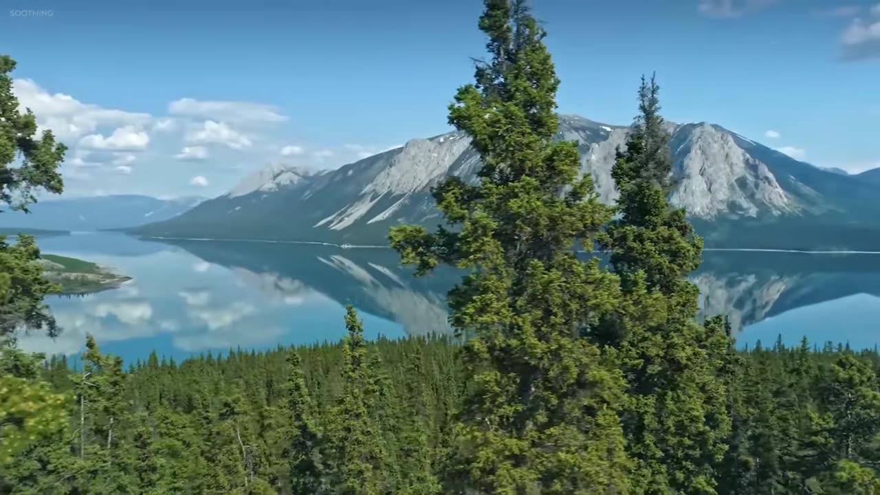 Quiet Trace – echoes of what once was.