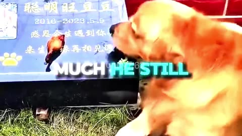 A Trade That Revealed Love