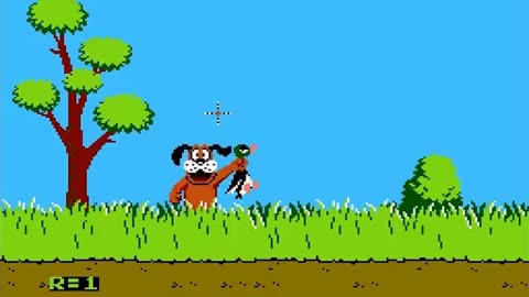 Duck Hunt