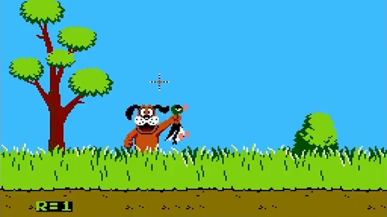 Duck Hunt
