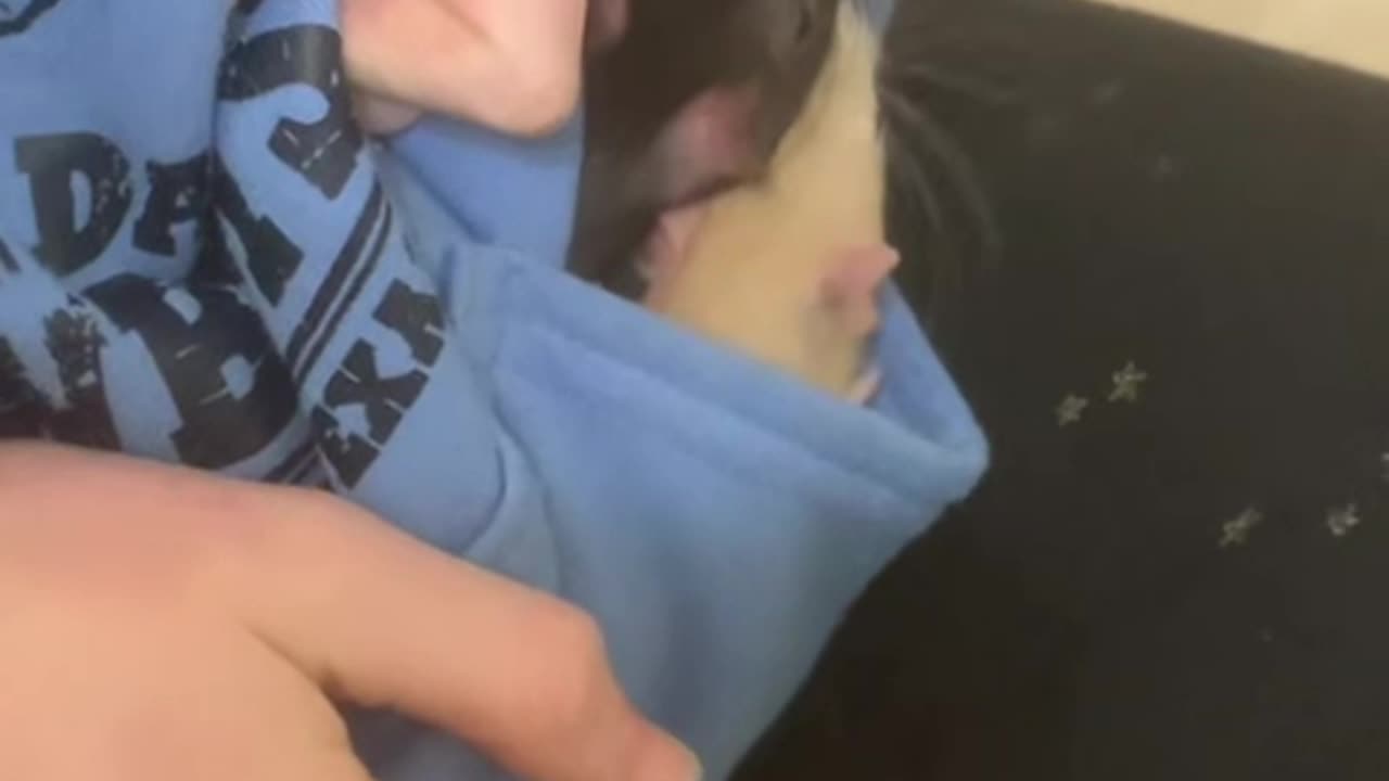 Enjoy The Calm Moments While They Last- Enid And Wednesday Edition