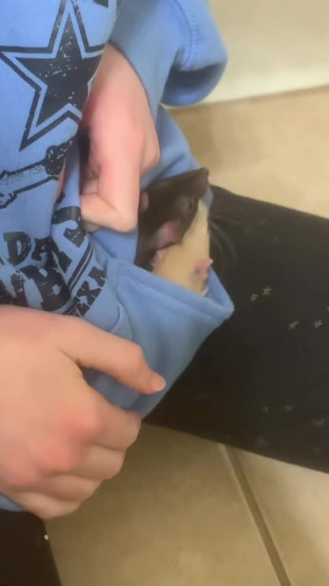 Enjoy The Calm Moments While They Last- Enid And Wednesday Edition