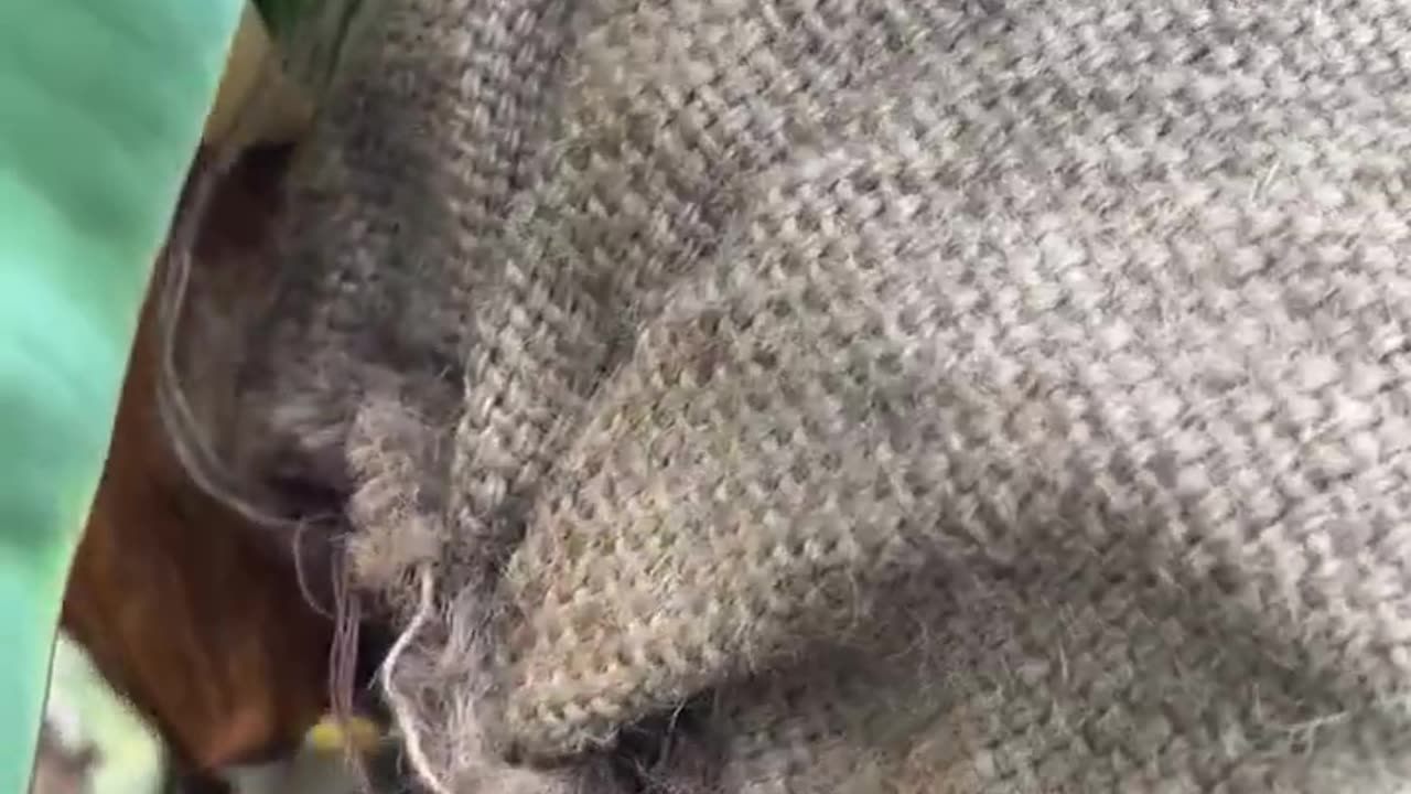 Completely Different