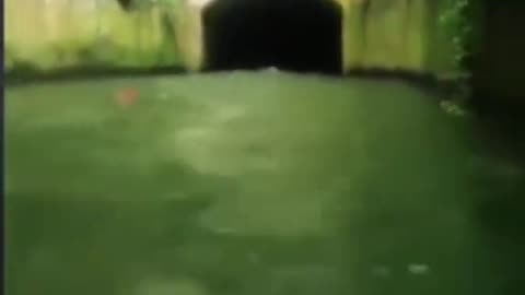 👻🌊 Ghost Lady Spotted in Water | TheHauntingHour