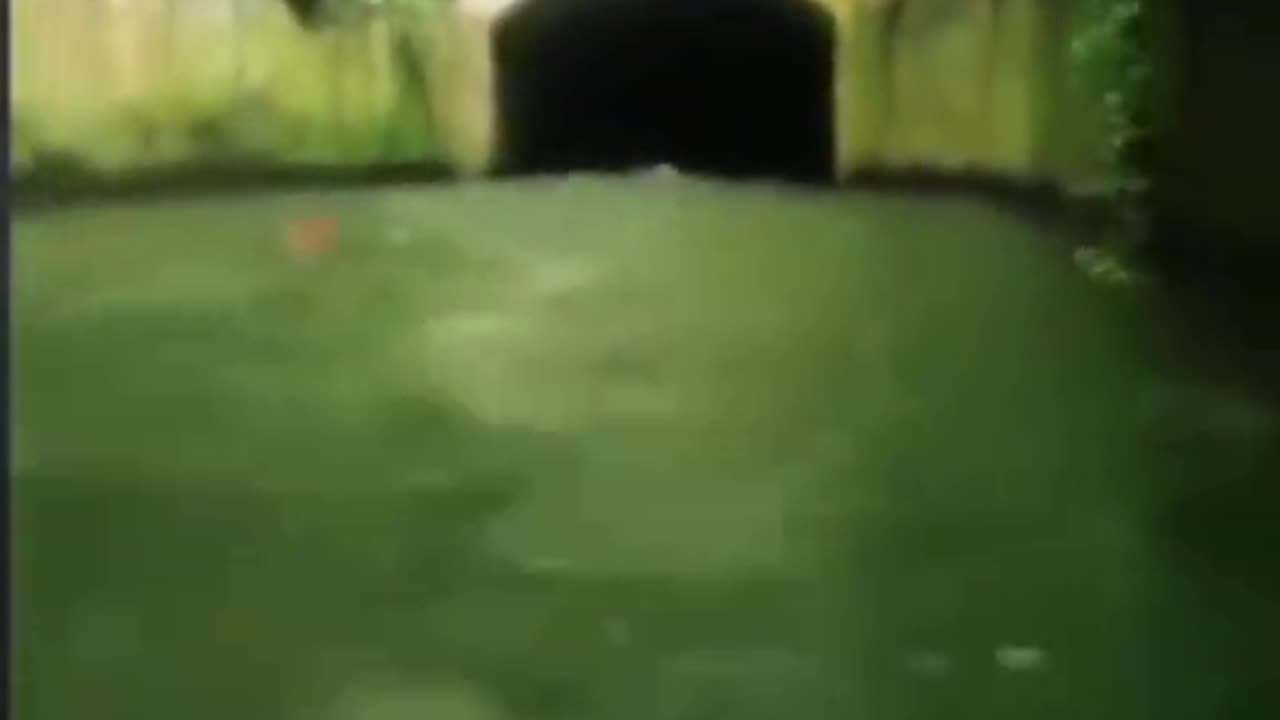 👻🌊 Ghost Lady Spotted in Water | TheHauntingHour