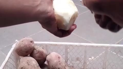 May work at home Morocco