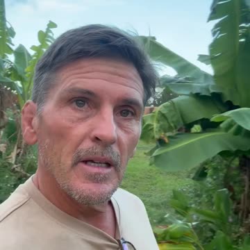 Is SNAP a Black Swan Event?