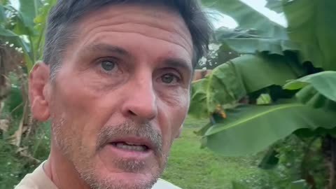 Is SNAP a Black Swan Event?