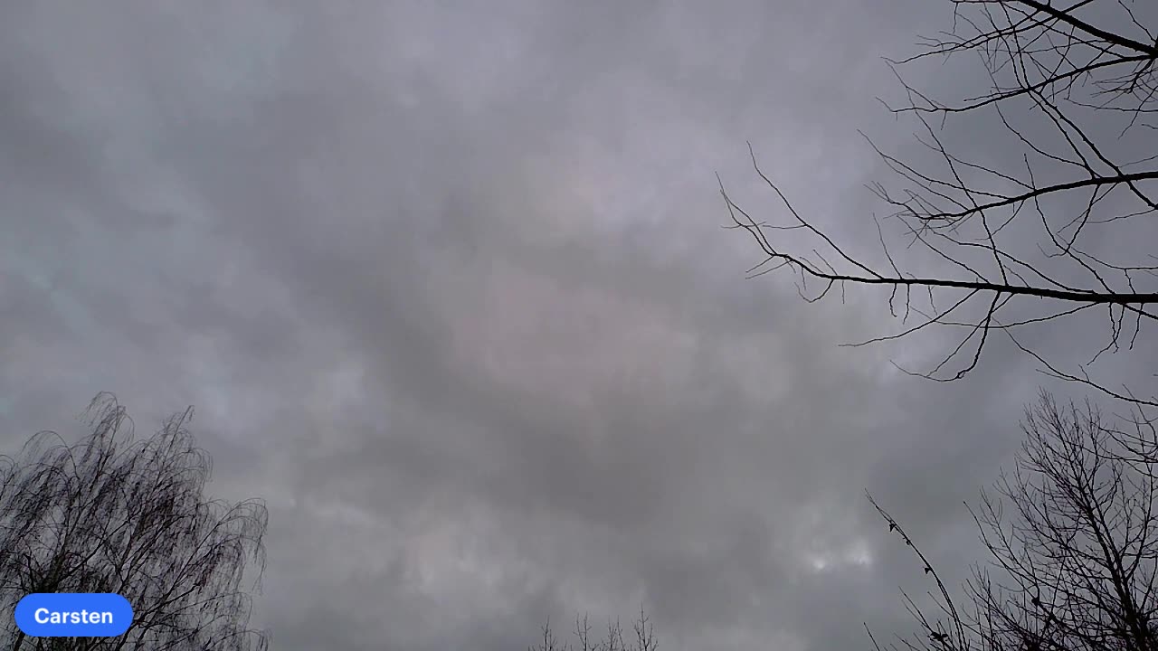 Zu viel Info - Zu wenig Zeit