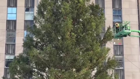 Merry christmas 2026