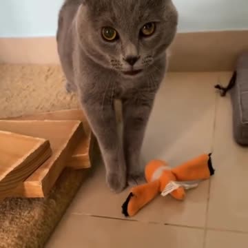 Finally i found this original video