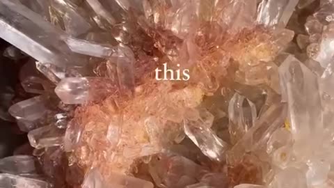One creator