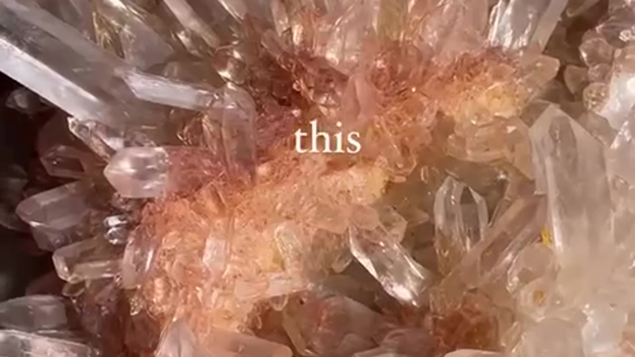 One creator