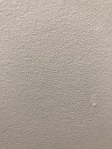 Trump’s felony charges are bogus