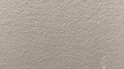 Trump’s felony charges are bogus