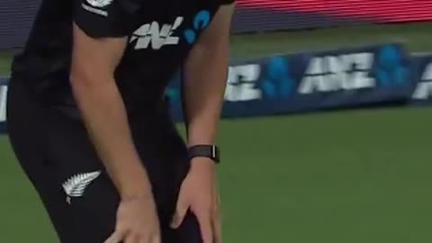 Cricket funny video