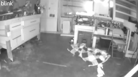 😱👻 Unbelievable Activity Caught in Shop! | TheHauntingHour