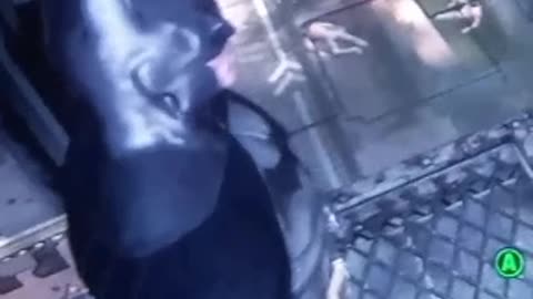 Batman Arkham Asylum Gameplay. Jugando Batman Arkham Asylum. 9.26.2025