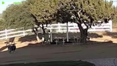 Compiled Supernatural 17