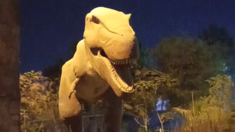Dinosaur 🦖